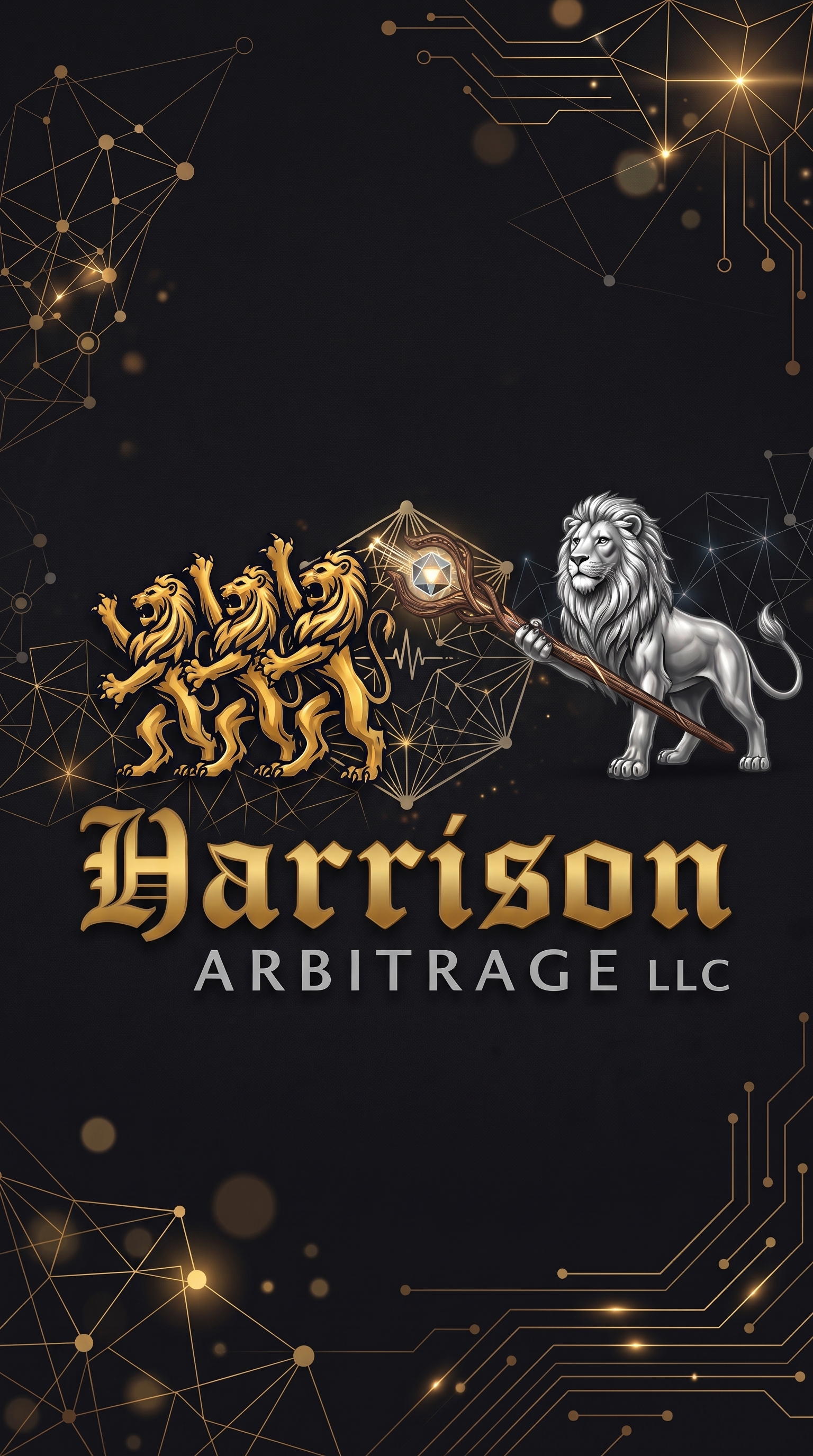 Harrison Arbitrage LLC Executive 9:16 Visual
